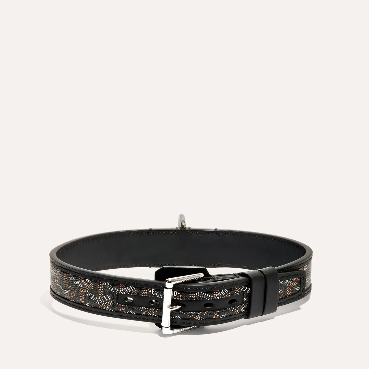 Franklin Collar With Box