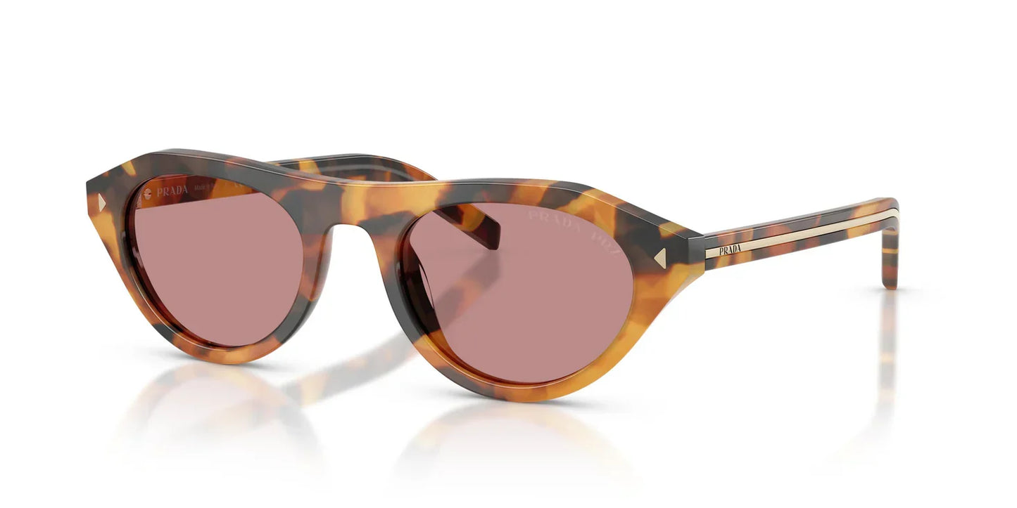 PR B15S Sunglasses